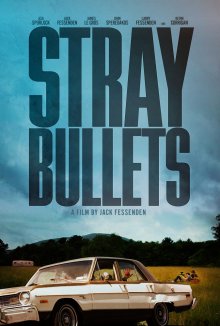 Шальные пули / Stray Bullets (2016) Шальные пули / Stray Bullets (2016)
